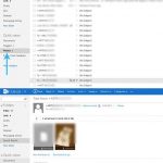 View WP8 SMS Text Message Backup in Outlook